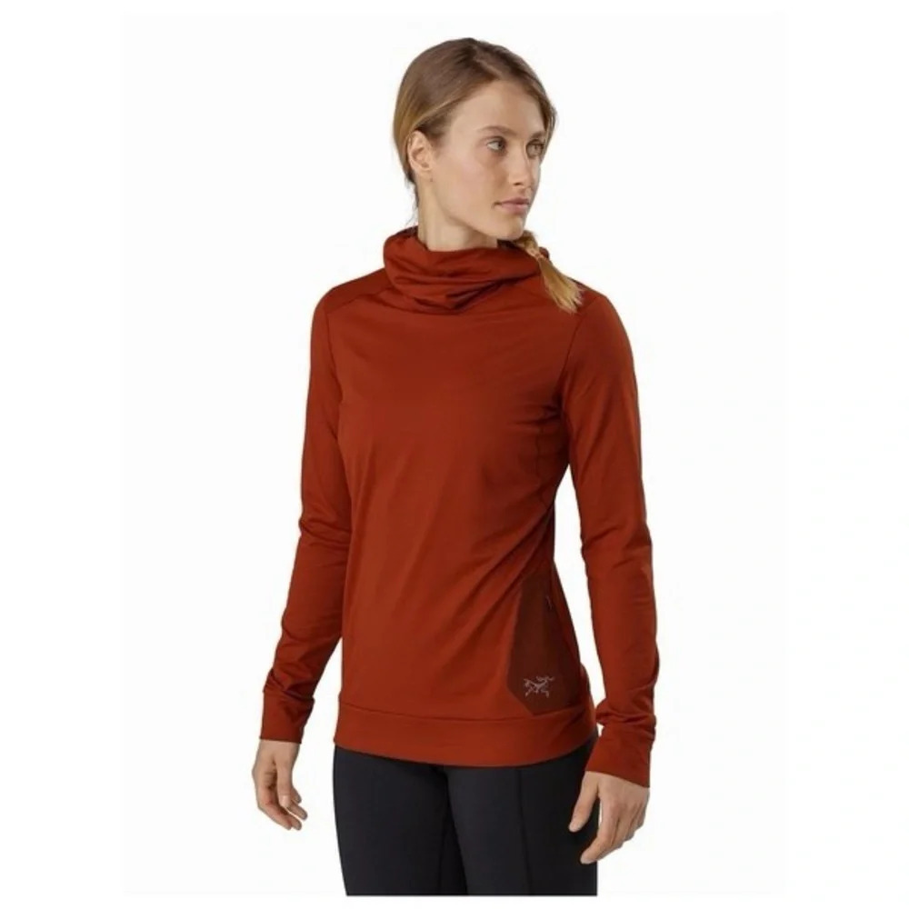 ARCTERYX Vertices Hoody - Picture 3 of 4